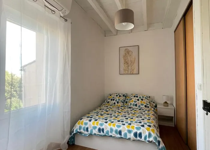 Charmante Maison Idéalement Située, Centre-ville * Castres (Tarn)